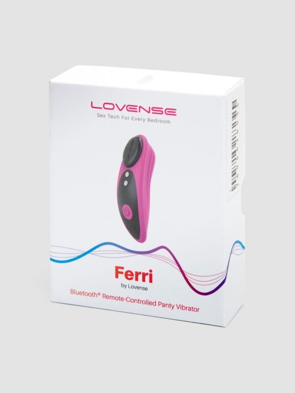 Lovense Ferri App Controlled Rechargeable Panty Vibrator - 图片 6